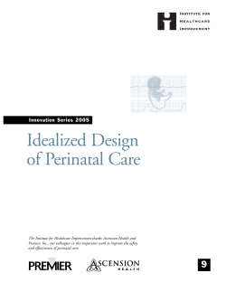 Idealized Design of Perinatal Care