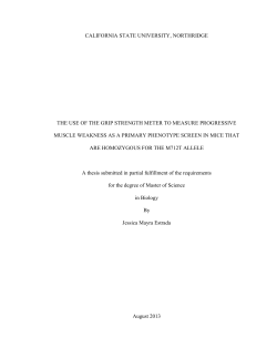 Estrada Jessica thesis 2013