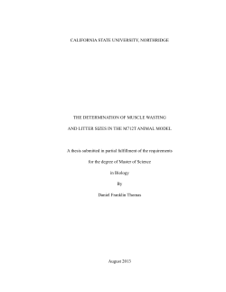 Thomas Daniel thesis 2013