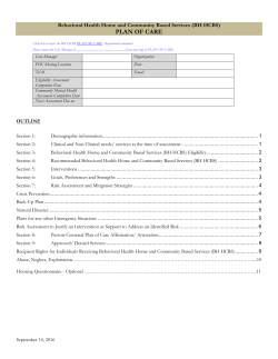 BH HCBS Plan of Care template