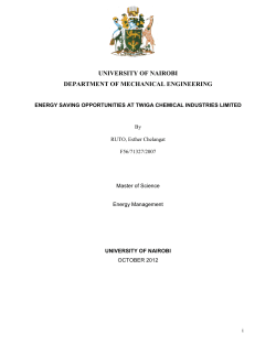 ESTHER CHELANGAT RUTO F56-71327-2007.pdf