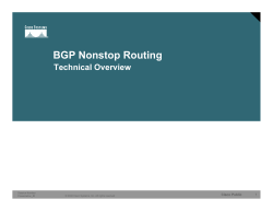 BGP Nonstop Routing Technical Presentation