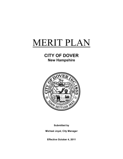 Merit Plan - Effective 10.04.2011.pdf
