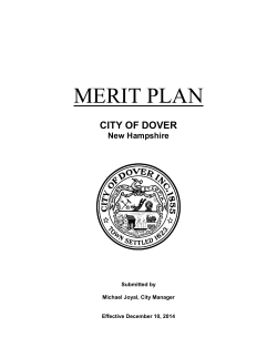 Merit Plan - Effective 12.10.2014.pdf