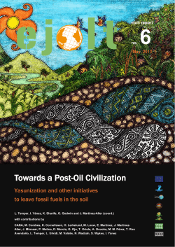 Towards a Post-Oil Civilisation