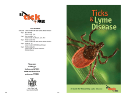 Ticks Lyme Disease Color Brochure