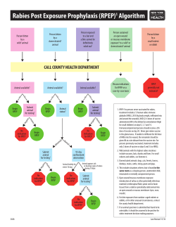 Rabies Post Exposure Prophylaxis (RPEP) 1 Algorithm