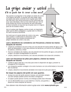 La gripe aviar y usted: S se puede dar de comer a las aves!