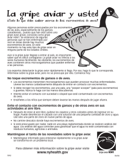La gripe aviar y usted: Todo li que debe saber acera de los excrementos de aves!