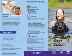 Blue-green Algae and Health brochure