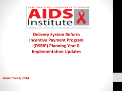 Delivery System Reform Incentive Payment Program (DSRIP) Planning Year 0 Implementation Updates