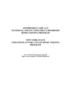 New York State Updated Plan for A State Home Visiting Program