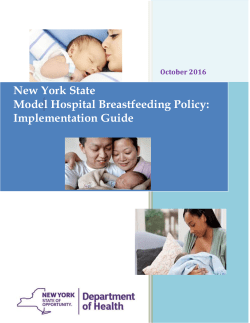 New York State Model Hospital Breastfeeding Policy: Implementation Guide, October 2011