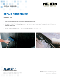 Marseal 8000 Repair Procedure