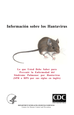 Informaci n sobre los Hantavirus