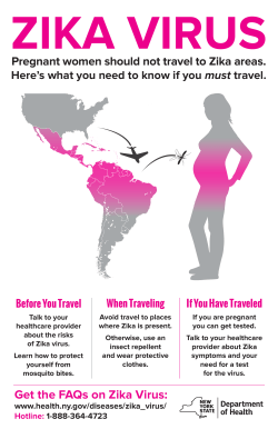 Zika Virus Travel Advisory for Pregnant Women (color)