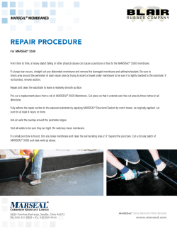 Marseal 3500 Repair Procedure