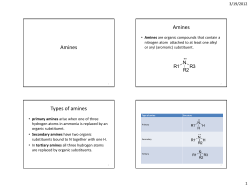 Lect 13 Amines