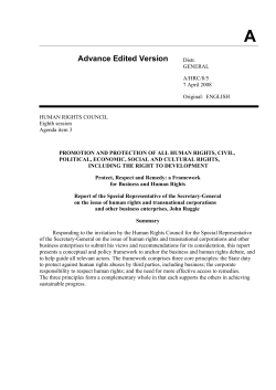 http://www.reports-and-materials.org/Ruggie-report-7-Apr-2008.pdf