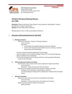 Minutes of July 2013