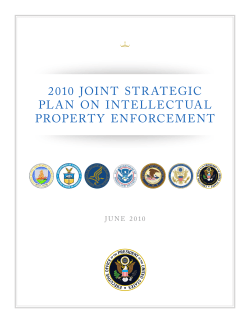 2010 2 intellectual property strategic plan