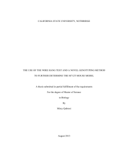 Qubrosi Mirey thesis 2013