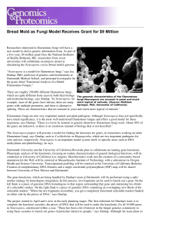 2004 Bread mold as fungi model receives grant for $9 Million.