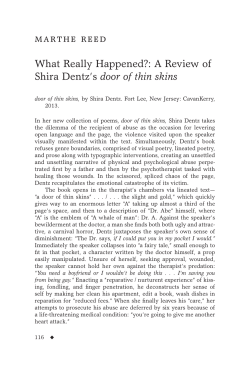 Marthe Reed - What Really Happened?: A Review of Shira Dentz's door of thin skins
