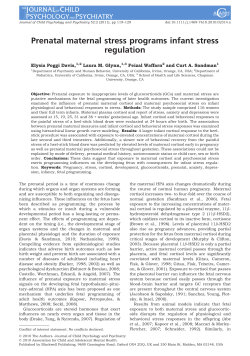 Prenatal maternal stress programs infant stress regulation