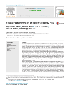 Fetal programming of children's obesity risk