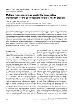 Cumulative risk as a potential explanatory mechanism for the SES-health gradient