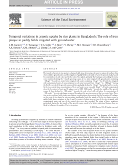 (pdf)