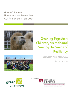 Download the Green Chimneys 2015 conference summary here