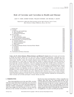 View Full Page PDF