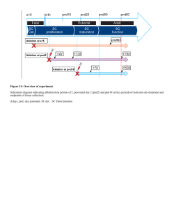 Supplementary Material