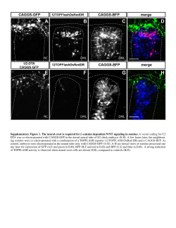 Supplementary Material