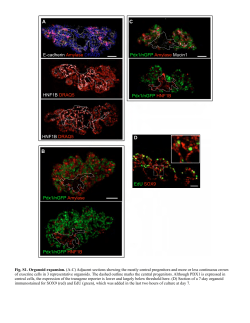 Supplementary Material PDF