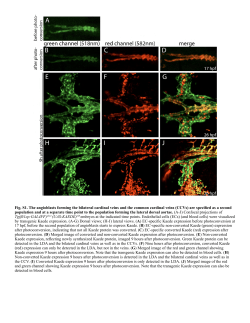 Supplementary Material PDF