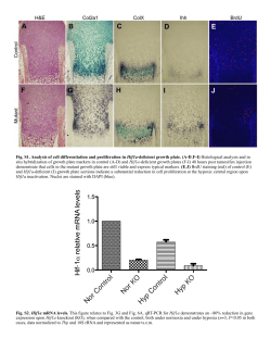 Supplementary Material