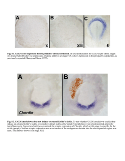 Supplementary Material