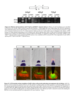 Supplementary Material