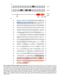 Supplementary Material PDF