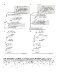Supplementary Material PDF