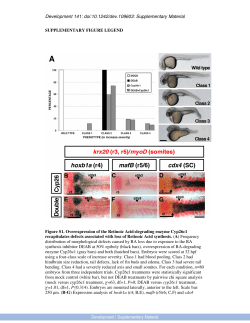 Supplementary Material