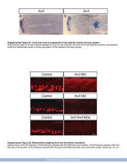Supplementary Material