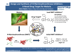Design and synthesis of N-myristoyltranferase inhibitors: a promising treatment for malaria