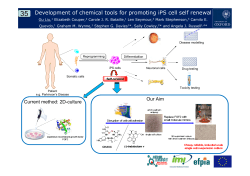 Development of chemical tools for promoting iPS cell self renewal