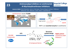 Aminoacylpyrrolidines as Leishmanial N-myristoyltranferase inhibitors