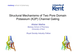 Structural mechanisms of K2P channel gating