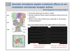 Atomistic simulations explain mutational effects on ion modulation and kainate receptor activity